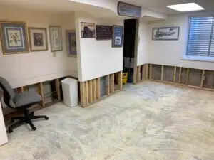 Basement Renovation Services in Laramie
